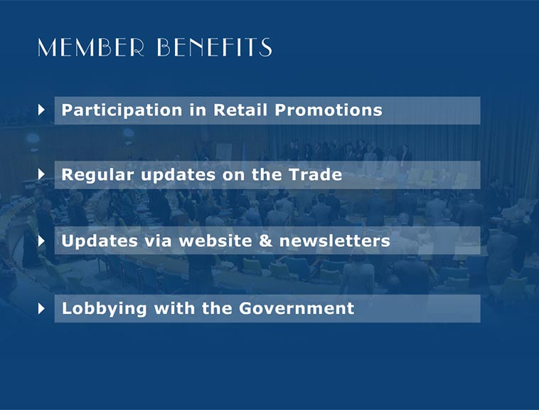 GJF flash slide show screen 9